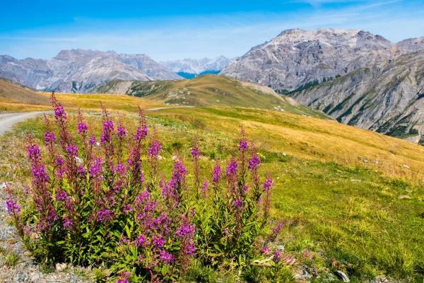 passeggiate02-hotelspol